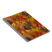 Herbstkaninchen auf rot notizblock (Rechte Seite)