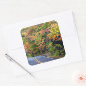 Herbstkanopie auf dem Highway 41 2 Quadratischer Aufkleber (Umschlag)