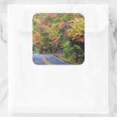Herbstkanopie auf dem Highway 41 2 Quadratischer Aufkleber (Tasche)