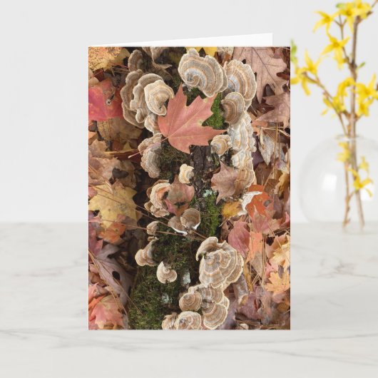 Herbstkarte (innen leer) karte (Gelbe Blume)