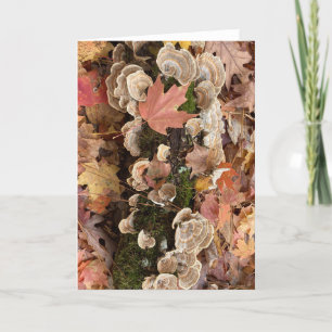 Herbstkarte (innen leer) karte