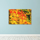 Herbstkaskade Leinwanddruck (Insitu (Holzboden))