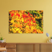 Herbstkaskade Leinwanddruck (Insitu (Wohnzimmer))