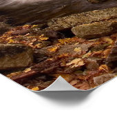 Herbstkaskade Poster (Ecke)