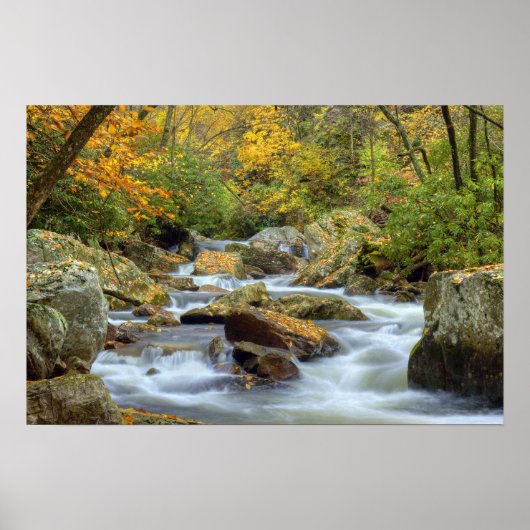 Herbstkaskade Poster (Vorne)