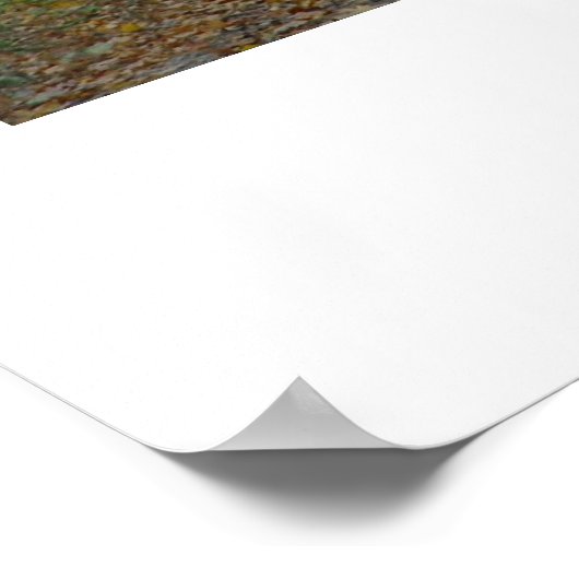 Herbstkathedral Poster (Ecke)