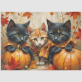 Herbstkätzchen Pumpkins und Folien Seidenpapier (Vorderseite)