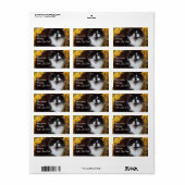 Herbstkatze Adressaufkleber (Vorne)