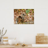Herbstkatze Poster (Küche)