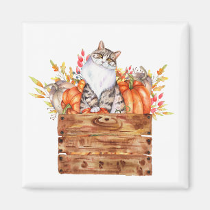 Herbstkatze und Kürbisse in einer Kiste Magnet