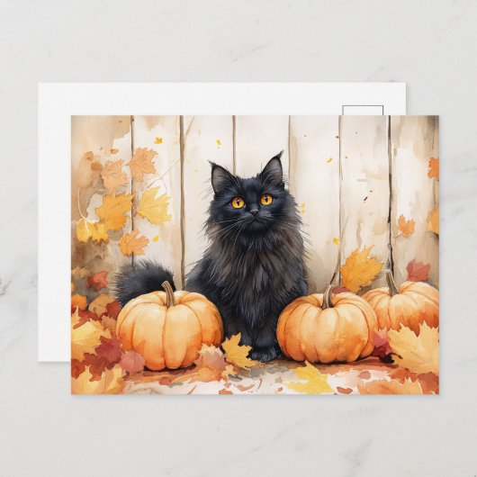 Herbstkatze und Pumpkins Postkarte (Vorne/Hinten)