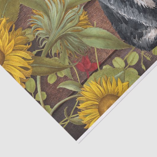 Herbstkatze und Sonnenblumen auf Stallholz Fall Seidenpapier (Ausschnitt)