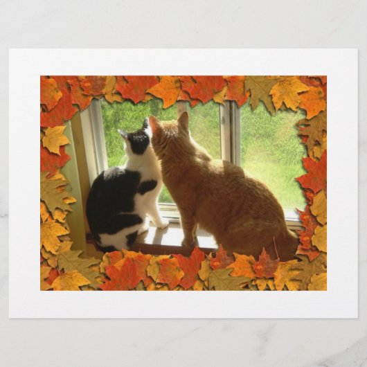 Herbstkatzen Flyer (Vorne)