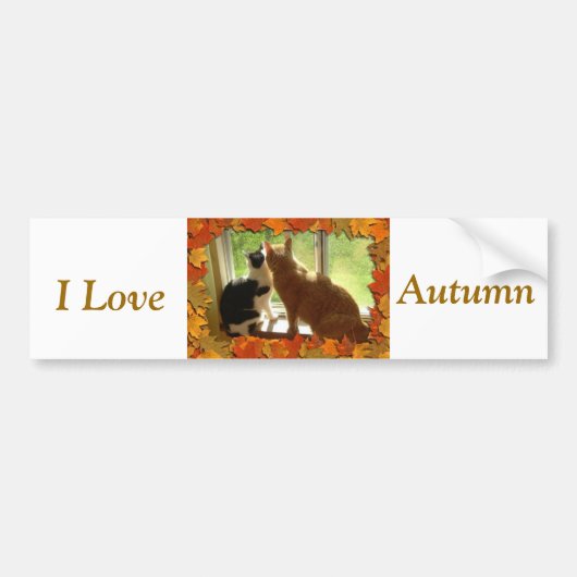Herbstkatzen I Liebe Herbst Autoaufkleber (Vorne)