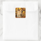 Herbstkatzenaufkleber Quadratischer Aufkleber (Tasche)