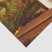 Herbstkatzenpapier Seidenpapier (Detail)