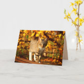 Herbstkatzgrüße Karte (Gelbe Blume)