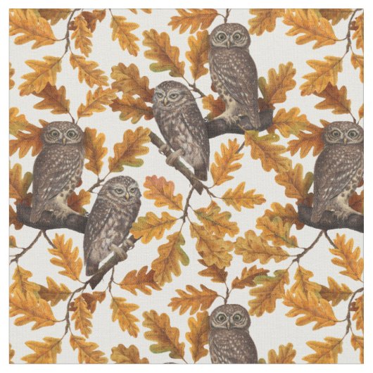 Herbstkauz auf Baumwolle weiß Stoff (Nahaufnahme)