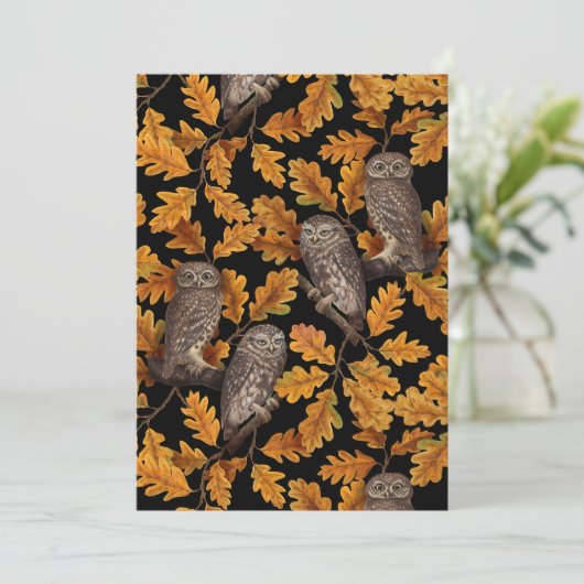 Herbstkauz auf schwarz (Stehend Vorderseite)