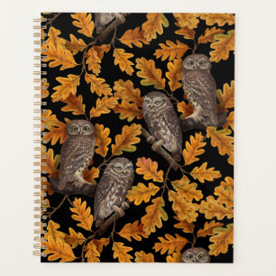 Herbstkauz auf schwarz planer