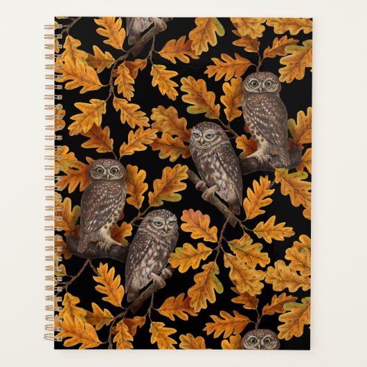 Herbstkauz auf schwarz planer (Vorderseite)