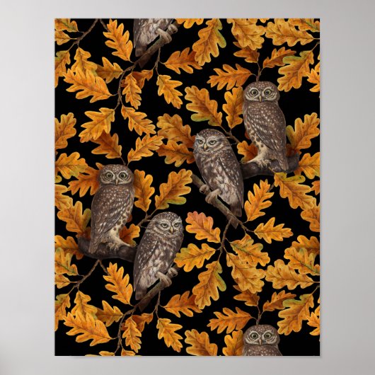 Herbstkauz auf schwarz poster (Vorne)