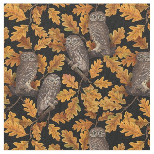 Herbstkauz auf schwarz stoff (Nahaufnahme)