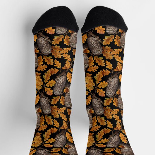 Herbstkäuze auf Schwarz Socken (Oben)
