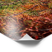 Herbstkiefernadeln fotodruck (Ecke)