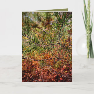 Herbstkiefernadeln Karte
