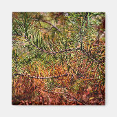 Herbstkiefernadeln  magnet (Vorne)