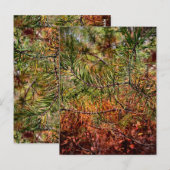 Herbstkiefernadeln Postkarte (Vorne/Hinten)