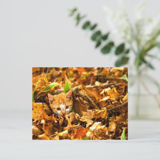 Herbstkitt Postkarte (Stehend Vorderseite)