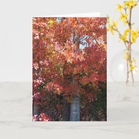 Herbstknackung Karte (Gelbe Blume)