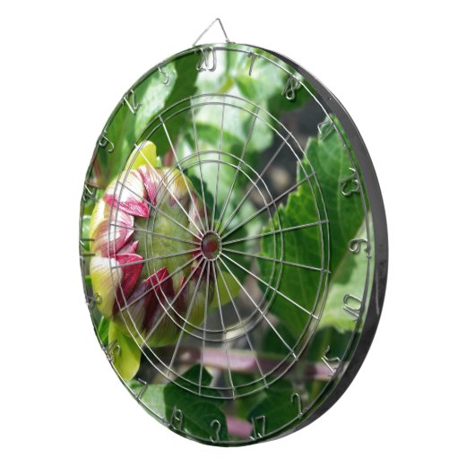 Herbstknospe Dartscheibe (Vorderseite rechts)