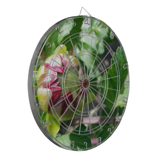 Herbstknospe Dartscheibe (Vorderseite Links)