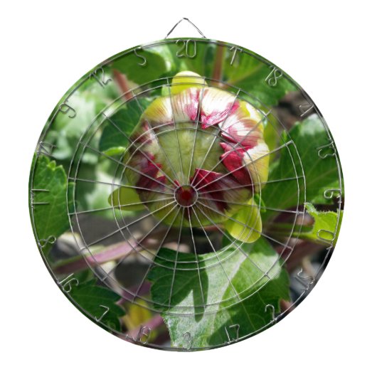 Herbstknospe Dartscheibe (vorne)