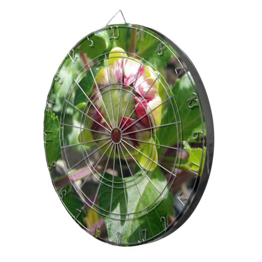 Herbstknospe Dartscheibe (Vorderseite rechts)