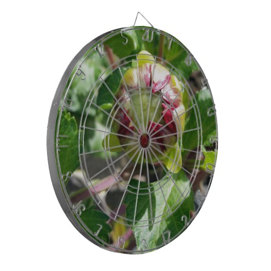 Herbstknospe Dartscheibe (Vorderseite Links)