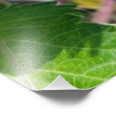 Herbstknospe Fotodruck (Ecke)