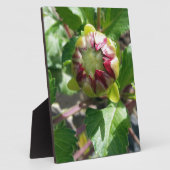 Herbstknospe Fotoplatte (Seite)