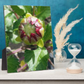 Herbstknospe Fotoplatte (Seite)