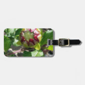 Herbstknospe Gepäckanhänger (Vorderseite horizontal)