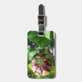 Herbstknospe Gepäckanhänger (Vorderseite vertikal)