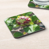 Herbstknospe Getränkeuntersetzer (Linke Seite)