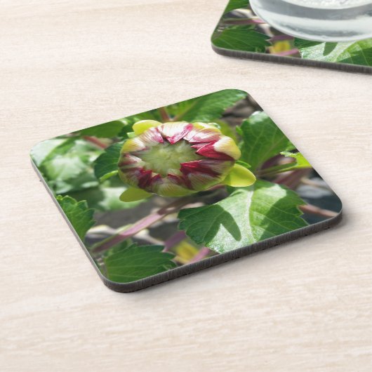 Herbstknospe Getränkeuntersetzer (Linke Seite)