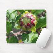Herbstknospe Mousepad (Mit Mouse)