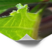 Herbstknospe Poster (Ecke)