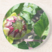 Herbstknospe Untersetzer (Vorne)