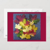 Herbstkollektion Postkarte (Vorne/Hinten)